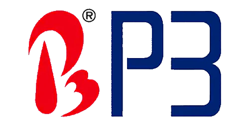 P3